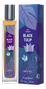Day Dreams Black Tulip