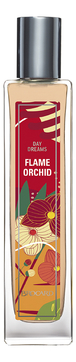 Day Dreams Flame Orchid