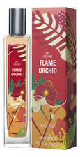 Brocard Day Dreams Flame Orchid