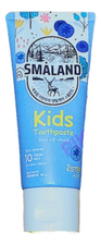 Kerasys Детская зубная паста 6+ Smaland Nordic Mild Fruity Kids 80г