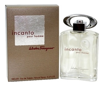 

Incanto pour homme: туалетная вода 100мл, Incanto Pour Homme