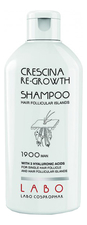 Crescina Шампунь для стимуляции роста волос HFI 1900 Man Re-Growth Shampoo 200мл