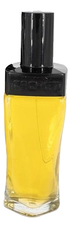

Cachet Noir: туалетная вода 90мл, Cachet Noir