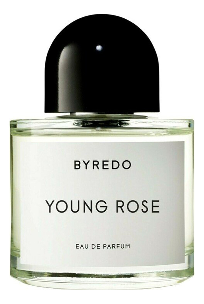 Купить Young Rose: парфюмерная вода 100мл, Byredo