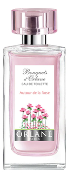 Autour De La Rose
