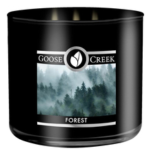 Goose Creek Ароматическая свеча Forest (Лес)