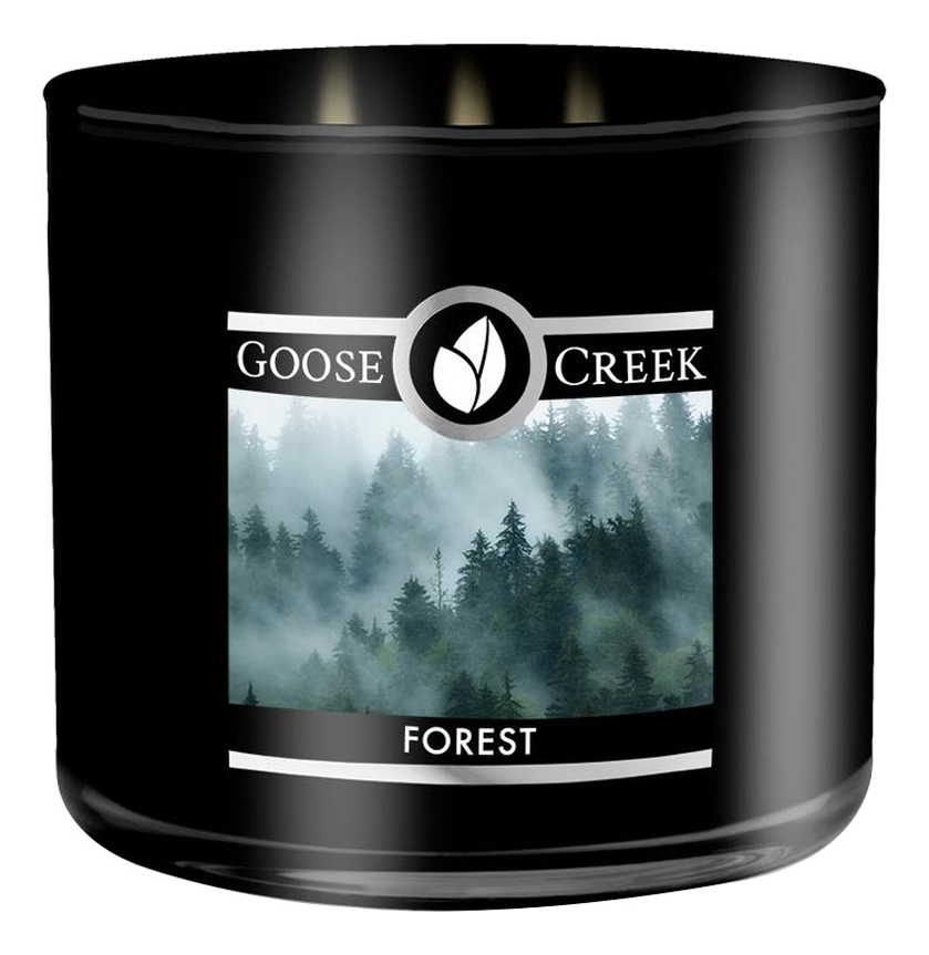 

Ароматическая свеча Forest (Лес): свеча 411г, Ароматическая свеча Forest (Лес)