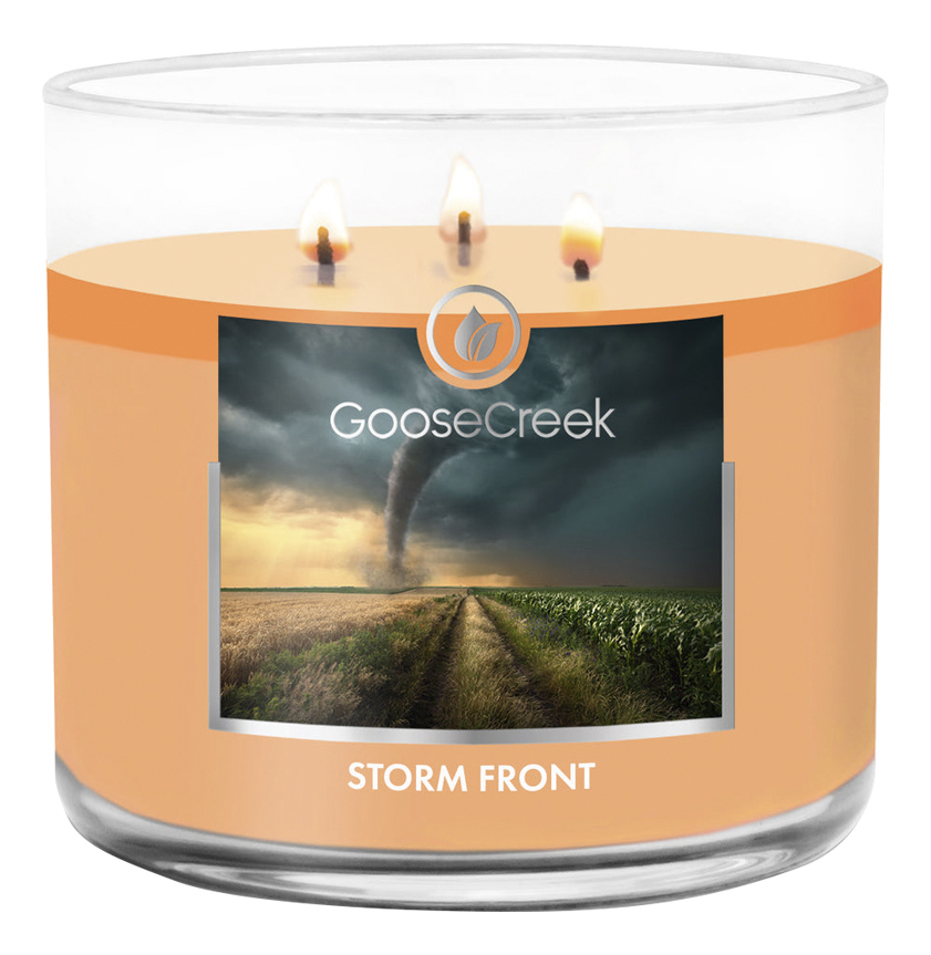 

Ароматическая свеча Storm Front (Штормовой фронт): свеча 411г, Ароматическая свеча Storm Front (Штормовой фронт)