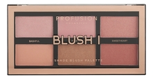 Profusion Cosmetics Палетка для макияжа лица Blush I Palette 110г