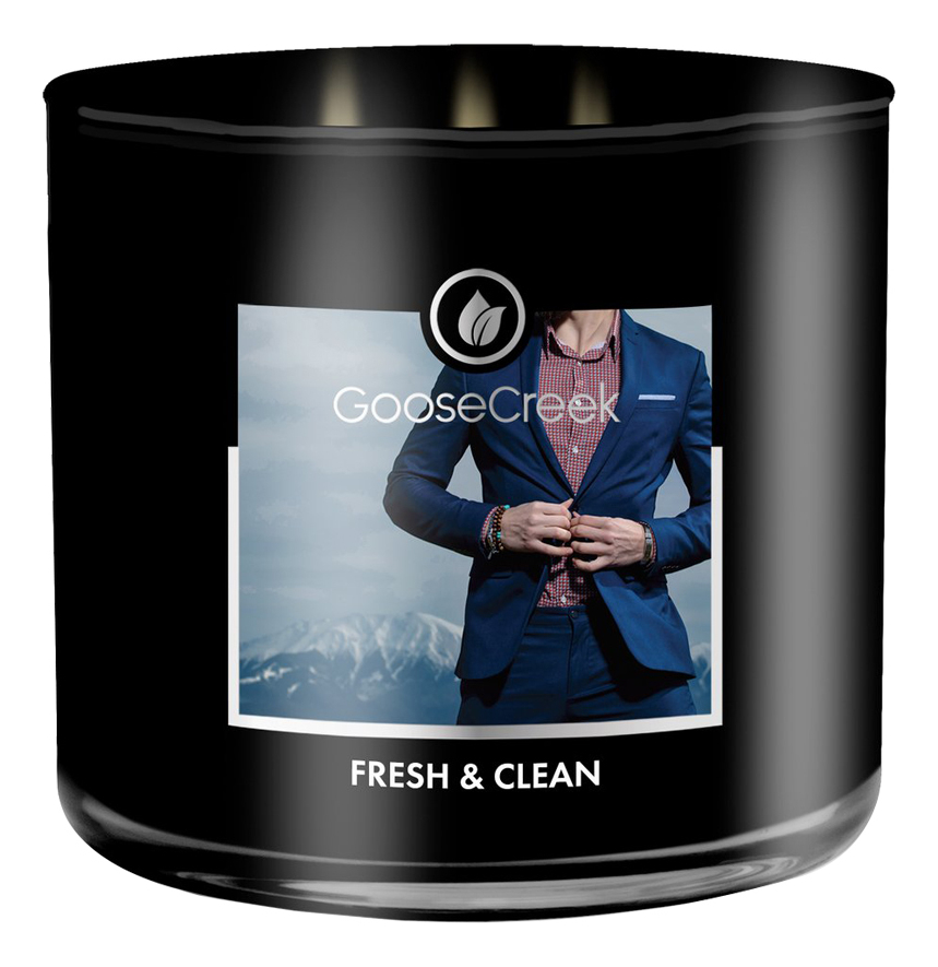 Ароматическая свеча Fresh & Clean (Свежий и чистый): свеча 411г ароматическая свеча fresh air