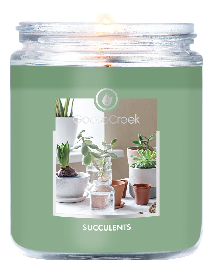 Ароматическая свеча Succulents (Суккуленты): свеча 198г ароматическая свеча morning mist утренний туман свеча 198г