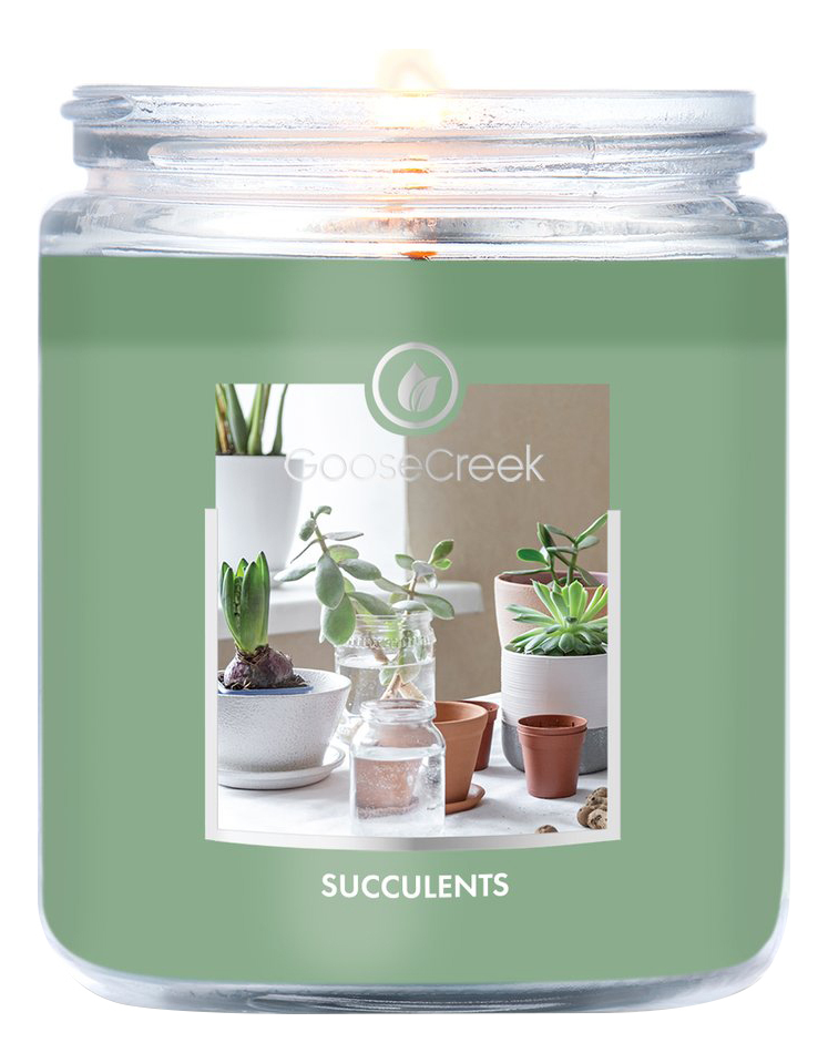 Ароматическая свеча Succulents (Суккуленты): свеча 198г ароматическая свеча teakwood тиковое дерево свеча 198г