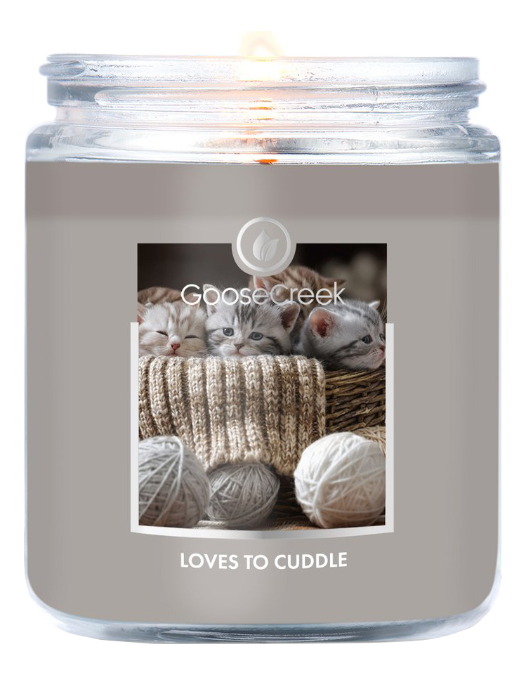 

Ароматическая свеча Loves To Cuddle (Любовь к обнимашкам): свеча 198г, Ароматическая свеча Loves To Cuddle (Любовь к обнимашкам)