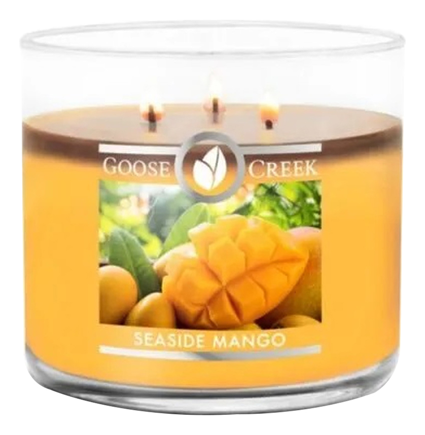 

Ароматическая свеча Seaside Mango (Приморское манго): свеча 411г, Ароматическая свеча Seaside Mango (Приморское манго)