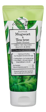 Пенка для умывания c экстрактом полыни и чайного дерева Real Fresh Mugwort & Tea Tree Foam Cleanser 100мл