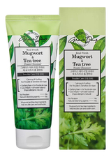 Grace Day Пенка для умывания c экстрактом полыни и чайного дерева Real Fresh Mugwort & Tea Tree Foam Cleanser 100мл