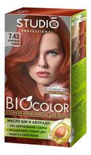 Studio Professional Стойкая краска для волос Biocolor 2*50/15мл