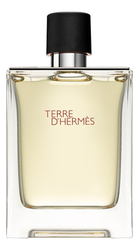 Terre D'Hermes Pour Homme