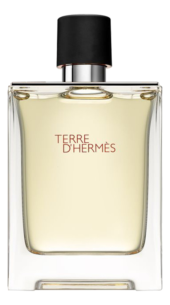 

Terre D'Hermes pour homme: духи 200мл, Terre D'Hermes Pour Homme