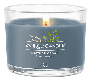 Ароматическая свеча Bayside Cedar