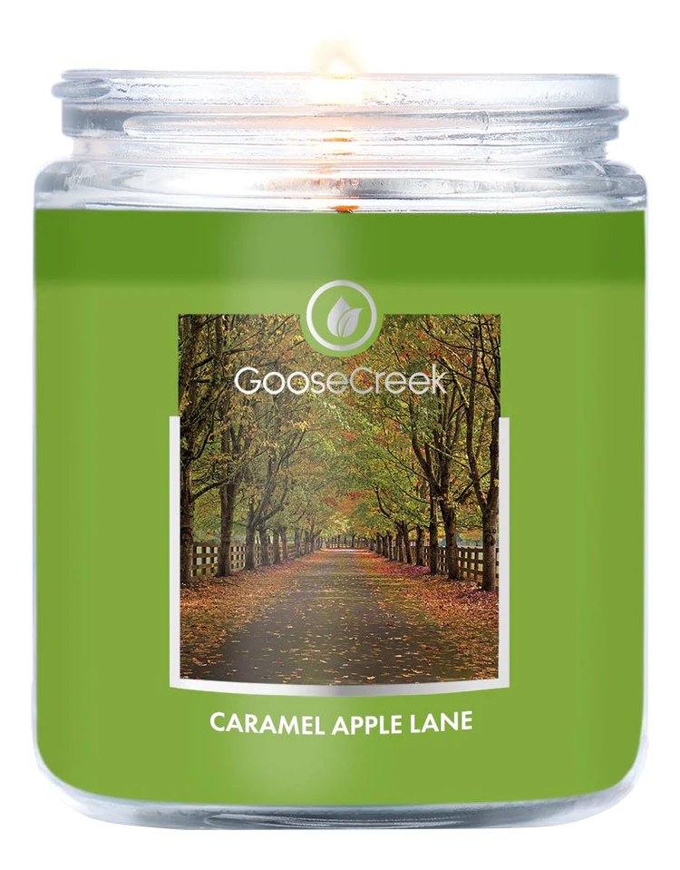 Купить Ароматическая свеча Caramel Apple Lane (Карамельно - яблочный переулок): свеча 198г, Goose Creek