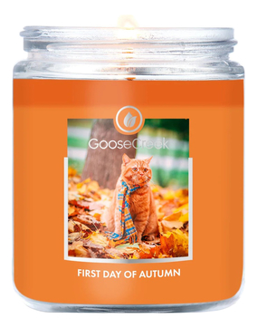 Ароматическая свеча First Day Of Autumn (Первый день осени)