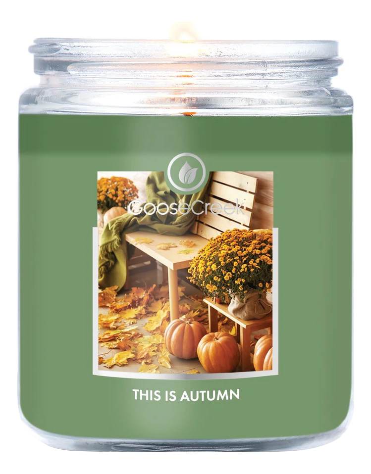

Ароматическая свеча This Is Autumn (Это осень): свеча 198г, Ароматическая свеча This Is Autumn (Это осень)