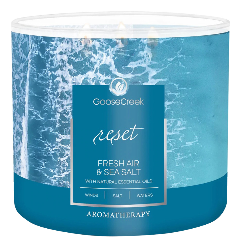 Ароматическая свеча Fresh Air & Sea Salt (Свежий воздух и морская соль): свеча 411г ароматическая свеча fresh air
