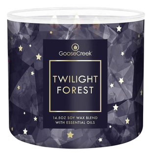 Ароматическая свеча Twilight Forest (Сумерки леса)