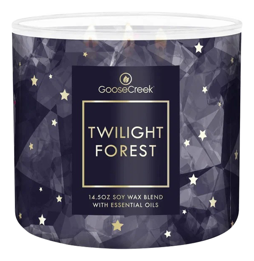 

Ароматическая свеча Twilight Forest (Сумерки леса): свеча 411г, Ароматическая свеча Twilight Forest (Сумерки леса)