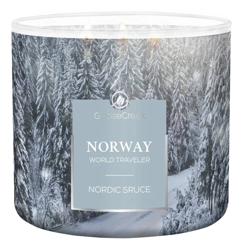 

Ароматическая свеча Nordic Spruce (Северная ель): свеча 411г, Ароматическая свеча Nordic Spruce (Северная ель)