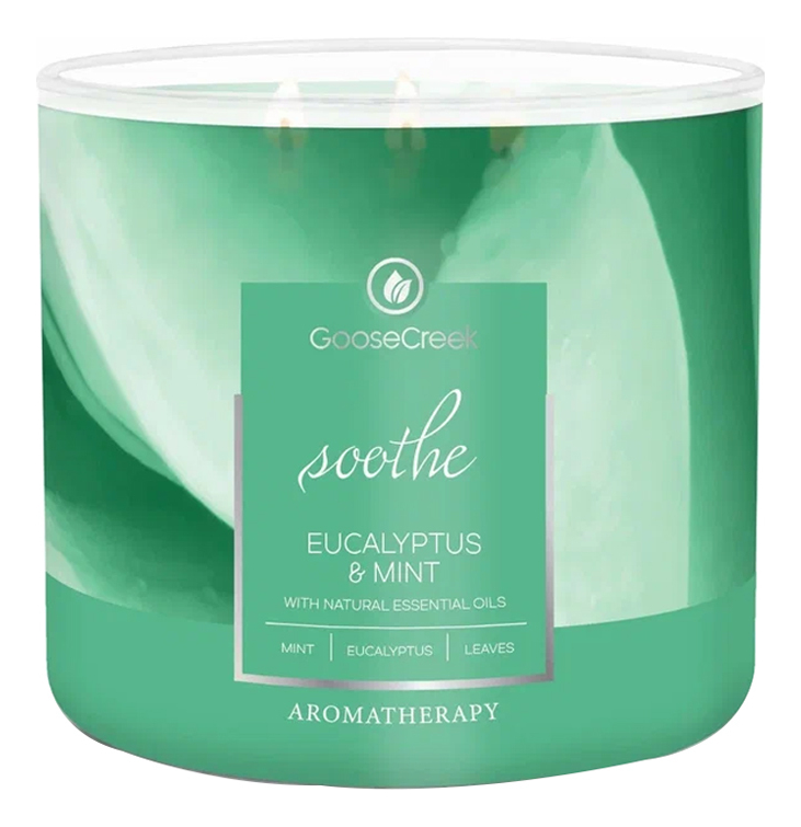 

Ароматическая свеча Eucalyptus & Mint (Эвкалипт и мята): свеча 411г, Ароматическая свеча Eucalyptus & Mint (Эвкалипт и мята)