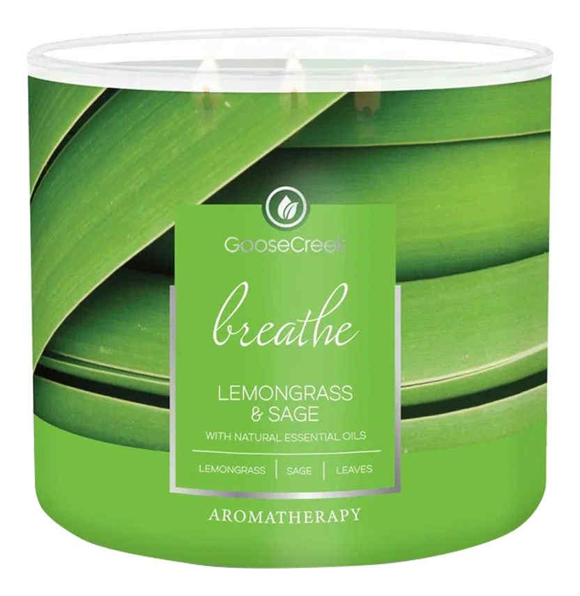 

Ароматическая свеча Limongrass & Sage (Лимонграсс и шалфей): свеча 411г, Ароматическая свеча Limongrass & Sage (Лимонграсс и шалфей)