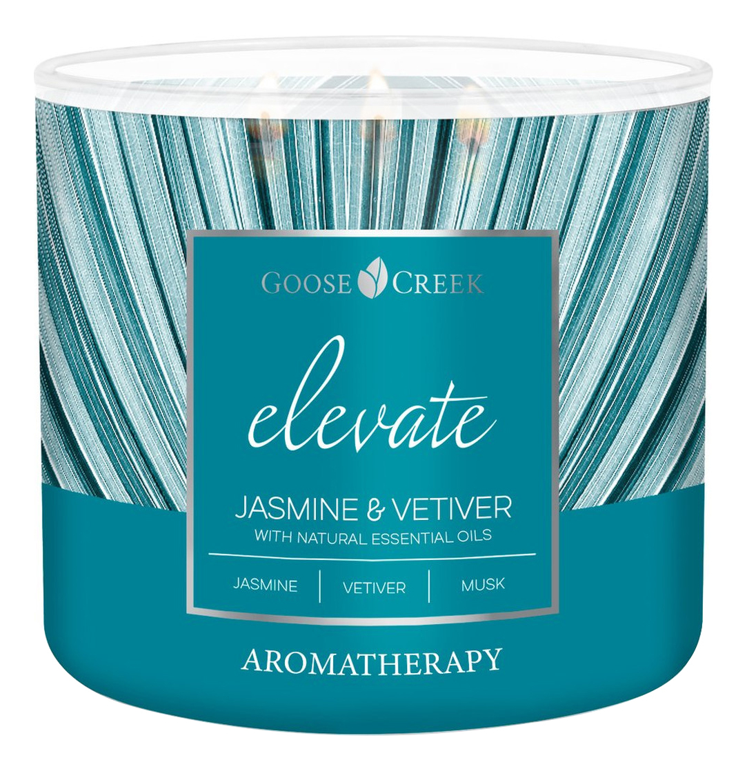 Купить Ароматическая свеча Jasmine & Vetiver (Жасмин и ветивер): свеча 411г, Ароматическая свеча Jasmine & Vetiver (Жасмин и ветивер), Goose Creek