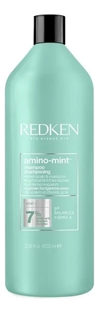 Redken Шампунь для волос Amino-Mint Shampoo