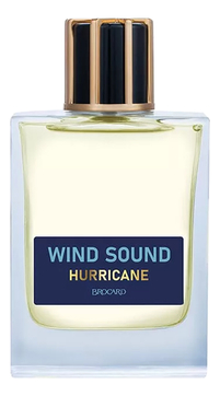 Wind Sound Hurricane