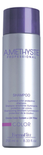 FarmaVita Шампунь для окрашенных волос Amethyste Luminous Color Protective Shampoo