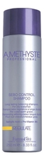 FarmaVita Шампунь для жирной кожи головы Amethyste Regulate Sebo Control Shampoo