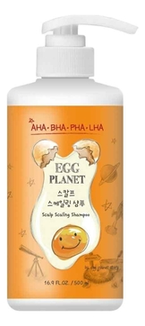 Шампунь для очищения кожи головы Egg Planet Scalp Scaling Shampoo 500мл