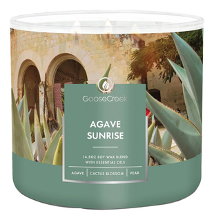 Ароматическая свеча Agave Sunrise (Агава санрайз)