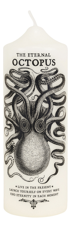 

Свеча № 17 Octopus 675г