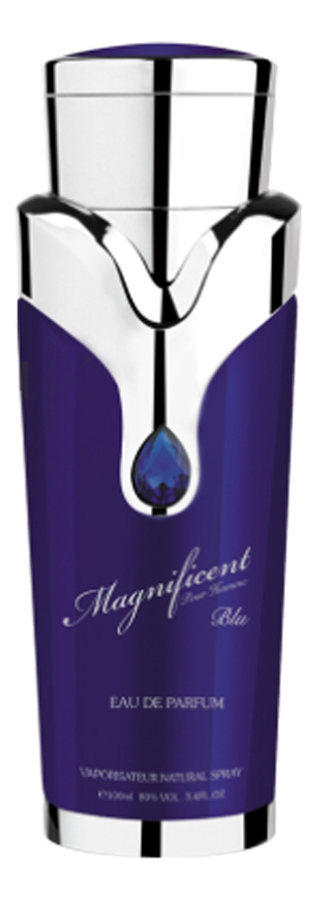

Magnificent Blu Pour Homme: парфюмерная вода 100мл уценка, Magnificent Blu Pour Homme