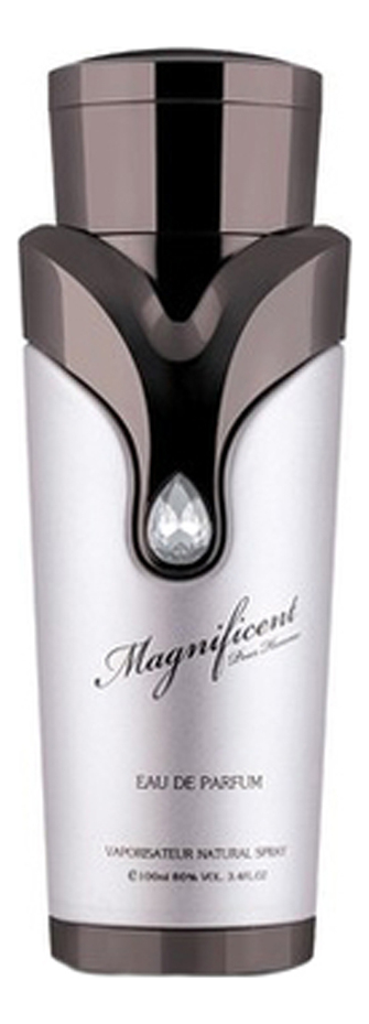 Magnificent Pour Homme: парфюмерная вода 100мл уценка magnificent blu pour homme парфюмерная вода 100мл