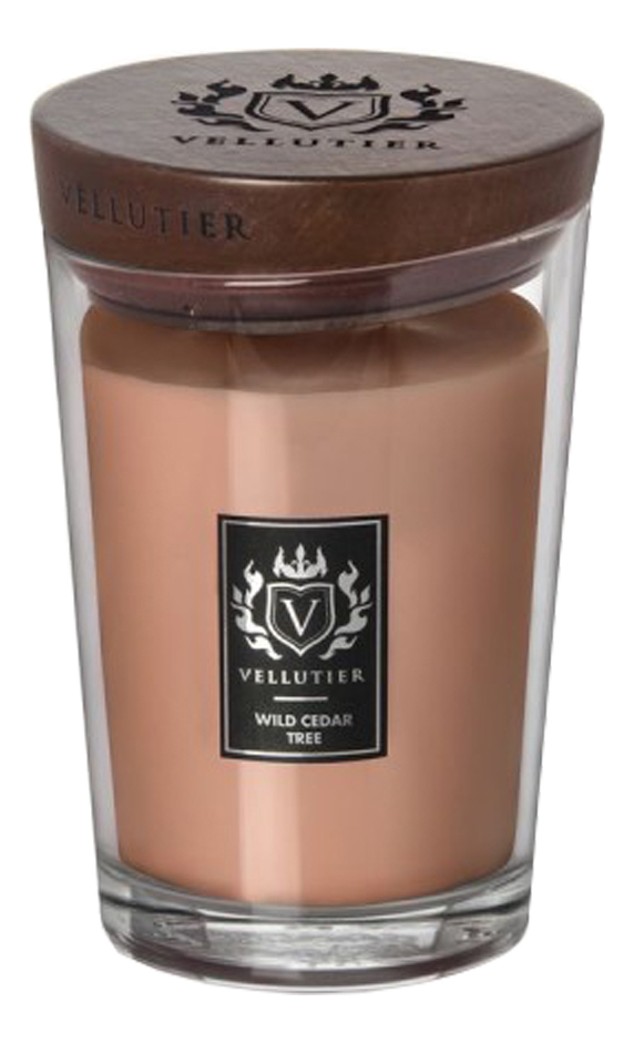 

Ароматическая свеча Wild Cedar Tree (Дикий кедр): свеча 515г, Ароматическая свеча Wild Cedar Tree (Дикий кедр)