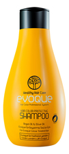 EVOQUE Professional Очищающий шампунь для окрашенных волос Hair Color Purification Shampoo