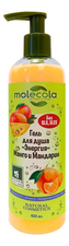 Molecola Гель для душа Энергия манго и мандарин 400мл
