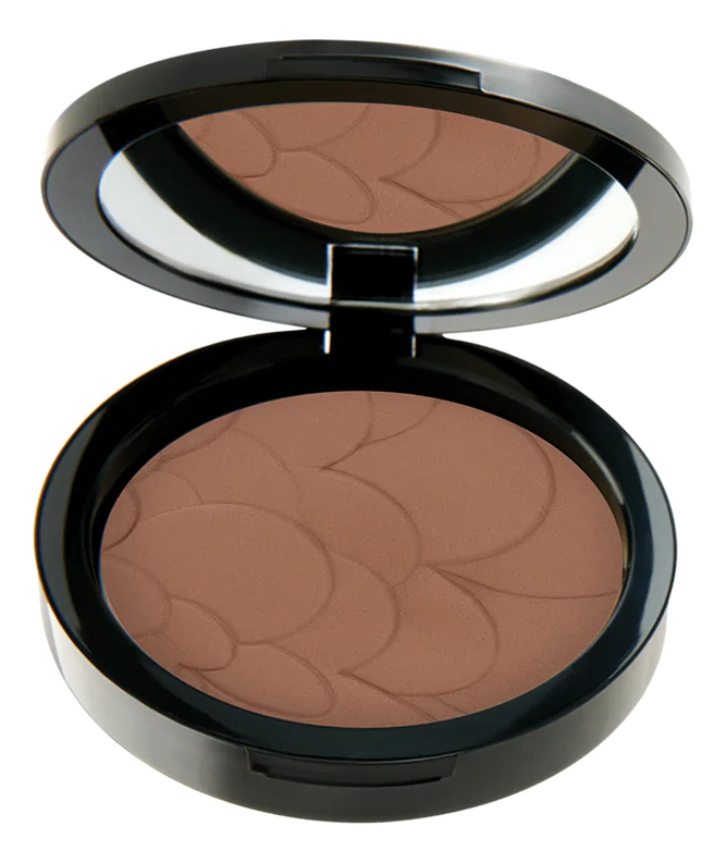 Пудра для лица Profashion Advanced Compact Powder 11г: 60 Chestnut пудра для лица profashion advanced compact powder 11г 55 deer