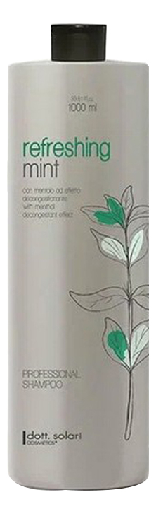 Тонизирующий шампунь для волос с ментолом Professional Line Mint Refreshing Shampoo 1000мл