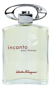 

Incanto pour homme: туалетная вода 50мл уценка, Incanto Pour Homme