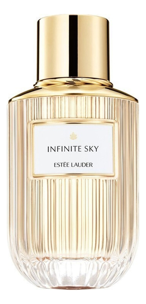 Infinite Sky: парфюмерная вода 100мл уценка infinite sky парфюмерная вода 100мл уценка